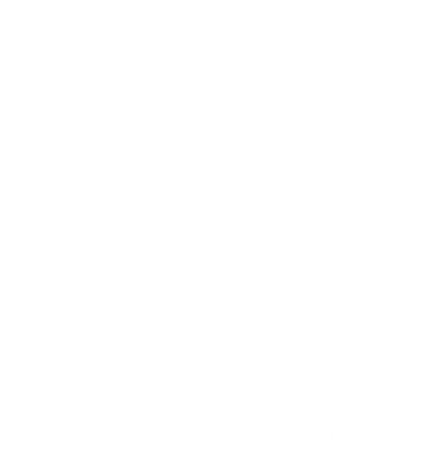 Mind Nutrition
